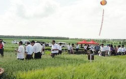 中德现代化示范农场第二届“田间日”活动成功举办