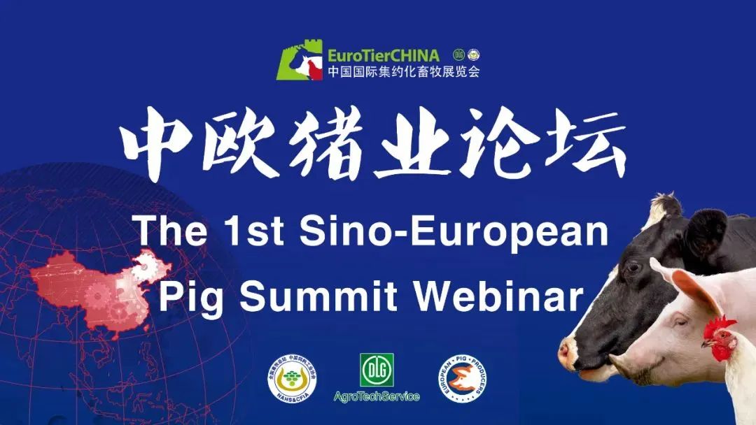 什么也阻挡不了畜牧业国际交流！—— 首届中欧猪业论坛刚刚在云端召开！