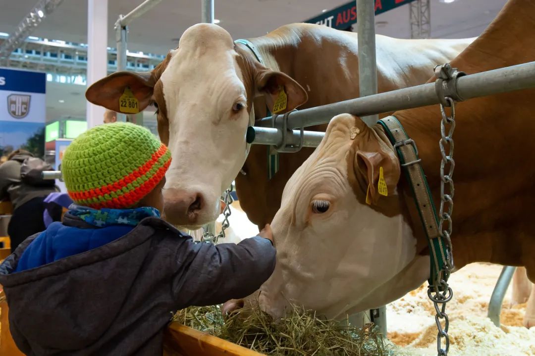 汉诺威国际畜牧展 EuroTier 2024全球报名启动