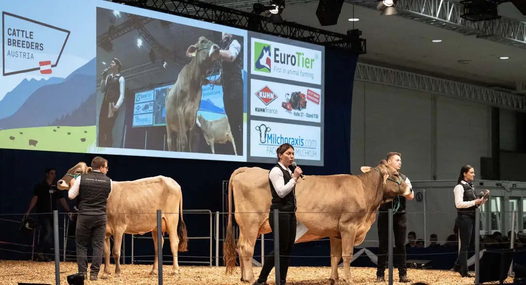一起来听听世界各地的农场主如何规划 EuroTier 2024 的参观行程